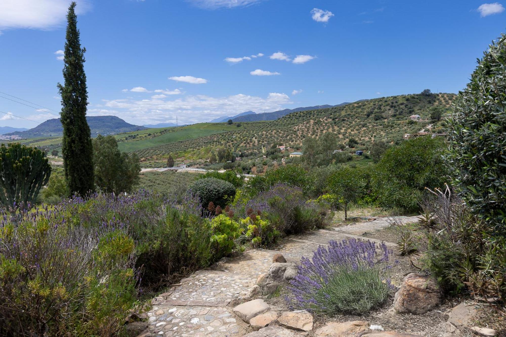 Boutique B&B Cortijo Valverde Alora Exterior foto